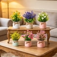 thumbnail image 2 of 6PC Realistic Artificial Potted Plants - Boho Ceramic Decor with Jute Wraps for Home, Office & Wedding Table Decorations - Low Maintenance Faux Greenery for Living Rooms & Bedrooms Multicolor, 2 of 6
