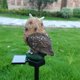 thumbnail image 5 of Lámpara LED Solar impermeable para exteriores luz de noche con forma Kuymtek de búho y pájaro con energía Solar estatua de estaca de jardín iluminación blanca cálida, 5 of 9