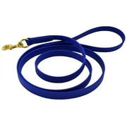 J&J Dog Supplies Biothane Dog Leash, 3/4" Wide by 6' Long, Blue