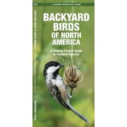 Wildlife and Nature Identification: Backyard Birds of North America : A Folding Pocket Guide to Familiar Species (Other)