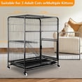 thumbnail image 2 of Flylapdo Iron Wire & Frame Cat Kennel 2-Tier Small-Cat Cages with Wheels & Ladder 37.4"x21.7"x28", 2 of 7