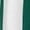 Forest White, variant on Dagger Basketball Short - FOREST GREEN,WHITE - M