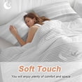 thumbnail image 4 of 3 Piece Grey Stripe Duvet Cover Set Queen Size, Microfiber Comforter/Quilt Cover with Corner Ties and 2 Pillowcases, Modern Abstract Monochrome Geometric All Season Soft Bedding with Zipper Closure, 4 of 8