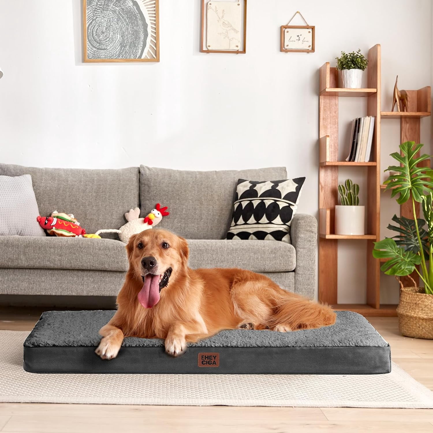 Orthopedic  Dog Bed with Removable Cover for Large Dogs, , 41x27