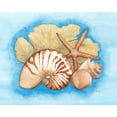 thumbnail image 2 of Russell, Wendy 32x26 Black Ornate Wood Framed with Double Matting Museum Art Print Titled - Seashells and Seafan I, 2 of 4