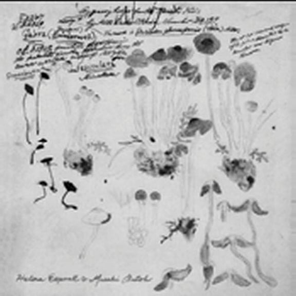 Masaki Batoh - Helena Espvall and Masaki Batoh - Alternative - CD