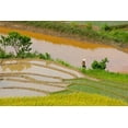 thumbnail image 2 of Norring, Tom 32x23 White Modern Wood Framed Museum Art Print Titled - Vietnam -Rice paddies in the highlands of Sapa, 2 of 4