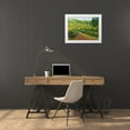 thumbnail image 3 of Friedlander, Allan 14x12 White Modern Wood Framed Museum Art Print Titled - Mountain Vineyard, 3 of 4