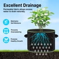 thumbnail image 4 of KORALAKIRI 6 Pack 5 Gallon Grow Bags Heavy Duty 300G Thickened Nonwoven Plant Fabric Pots with Handles for Tomato, Potato and Vegetable, 4 of 8