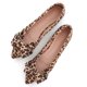 thumbnail image 1 of Zapatos planos TN TANGNEST, a la moda para mujer, con lazo, leopardo, amarillo, 1 of 7