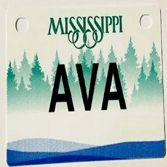 Ava Mini Bike Plate Add On Accessory