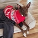 thumbnail image 4 of Jersey para perro KYEESE Christmas Snowflake Reindeer XL, 4 of 9