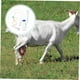 thumbnail image 2 of 1 juego de ordeñadora para ganado vacuno y ovino, suministros agrícolas, equipo agrícola, ordeñadora manual, ordeñadora portátil, extractor de leche manual, 2 of 5