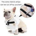 thumbnail image 2 of Funny KungFu Theme Pet Costume Party Outfit For Small to Large Dog Cats Soft Polyester Easy Wear 2 Leg Clothes, 2 of 13