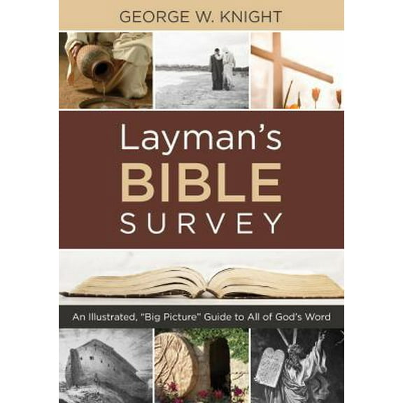 Pre-Owned Layman's Bible Survey (Paperback) 1630583464 9781630583460