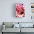 thumbnail image 2 of Trademark Fine Art 'Tulip Magnolia Blossom' Canvas Art by Kathy Yates, 2 of 5