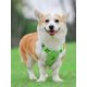 thumbnail image 2 of 1set Adjustable Reflective Anti-Escape Dog Harness With Handle + Reflective Leash With Soft Handle, 2 of 4