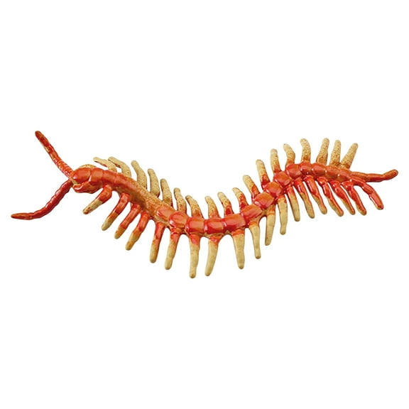 A Pvc Summer Simulation Insect Model Toy For Kids Childrens Science Education Centipede Figurine