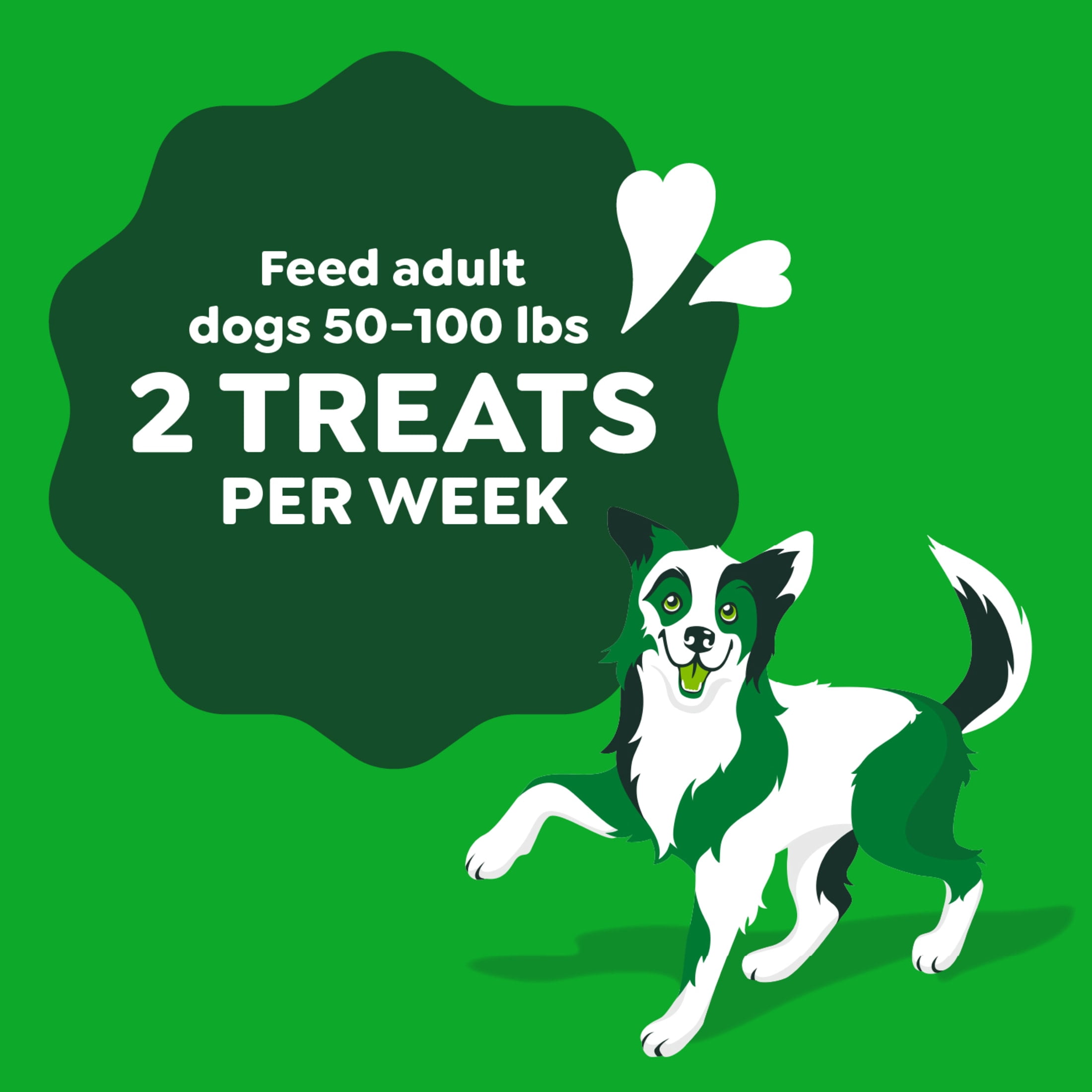 Greenies Occupy Twists Natural Dog Treats Large Breed, Chicken Flavor, 17.1 oz. Pack, 8 Count