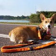 thumbnail image 4 of Anti-Pull Large Dog Leash (1.65M)Safety BeltShock Absorption + Reflective Stitching + Double Handle（Black）, 4 of 5