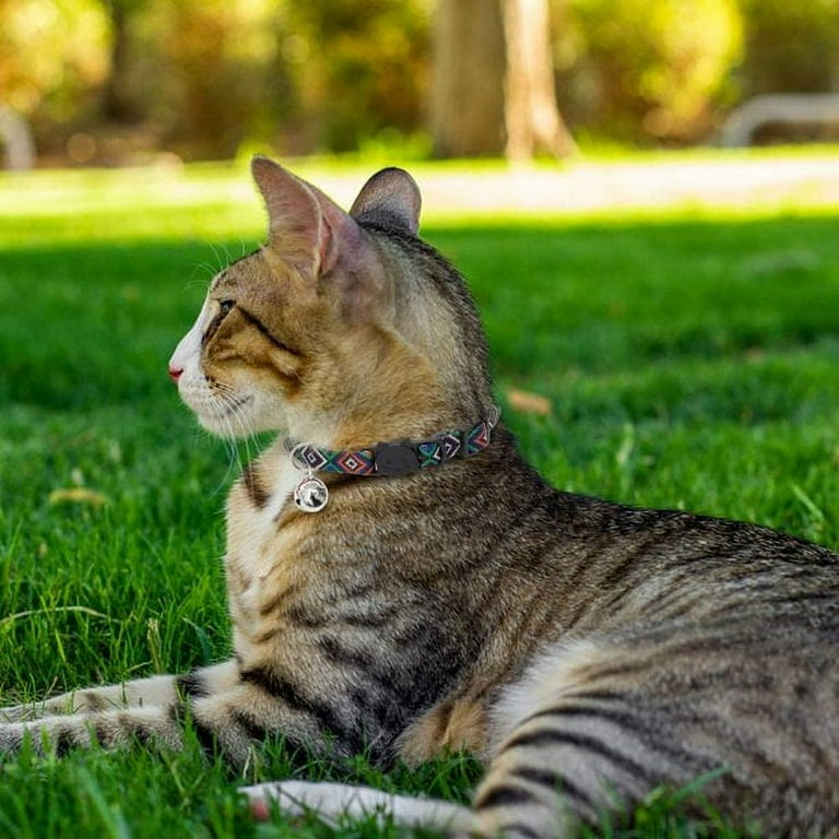Aztec cat collar sale
