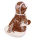 thumbnail image 4 of Capa de lluvia impermeable para perros, ropa para perros, chubasquero transparente para perros MFZFUKR m, 4 of 6