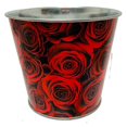thumbnail image 1 of Seau de Roses Rouges, 1 of 1