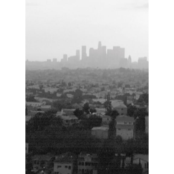 City Terrace Field Manual, (Paperback)
