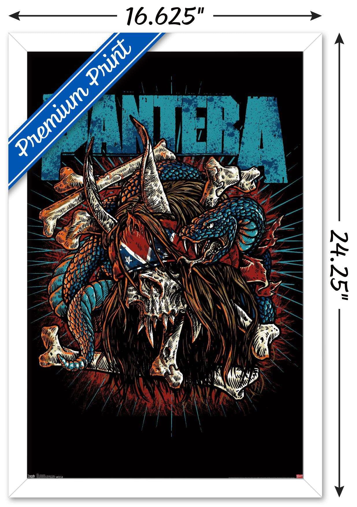 Trends International Pantera - Rocker Skull Wall Poster 14.725" x 22.375" White Framed Version