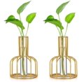 thumbnail image 1 of Estación de propagación de vidrio con marco de metal, florero dorado, florero de tubo de ensayo para plantas hidropónicas, florero pequeño para decoración de mesa de oficina, cocina, hogar, oro, 1 of 5
