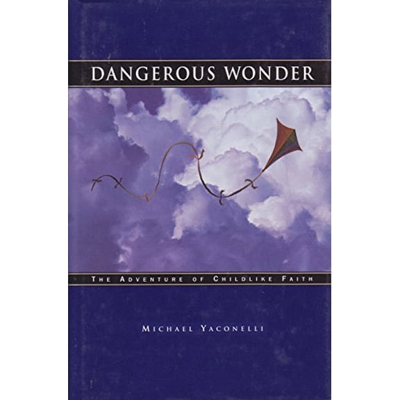 Pre-Owned Dangerous Wonder: The Adventure of Childlike Faith (Hardcover) 1576830462 9781576830468