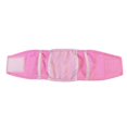 thumbnail image 3 of Pantalones sanitarios fisiológicos para lactancia, pañales para perros machos, 2 unidades, 3 of 5