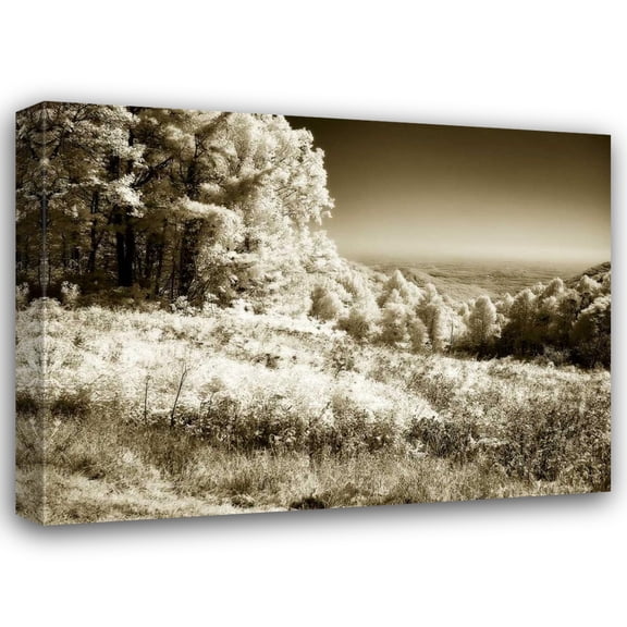 Alan Hausenflock 24x19 Gallery Wrapped Canvas Wall Art Titled - Swift Run Gap I