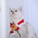 thumbnail image 4 of Lindo collar navideño de invierno para gato con capucha para celebraciones de Año Nuevo, 4 of 7