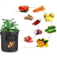 thumbnail image 3 of Sinhoon Plant Growing Bags Vegetable Potato Planter Grow Bags Reusable Garden Plant Growing Pots  Breathable Container, 10 Gallon, 3 of 7