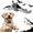 1pc, variant on Flying Bat Pet Toy – USB Rechargeable, Flapping Wings, Chirping, Hanging or Floor