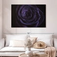 thumbnail image 2 of Elephant Stock Blooming Violet Rose Wall Art - Horizontal Canvas Wall Art - Living Room Wall Decor - Gothic Canvas - Purple And Black Decor - 48" x 32", 2 of 8