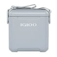 thumbnail image 1 of Igloo 11 Quart Tag Along Too Strapped Picnic Style Cooler, Light Gray, 1 of 11