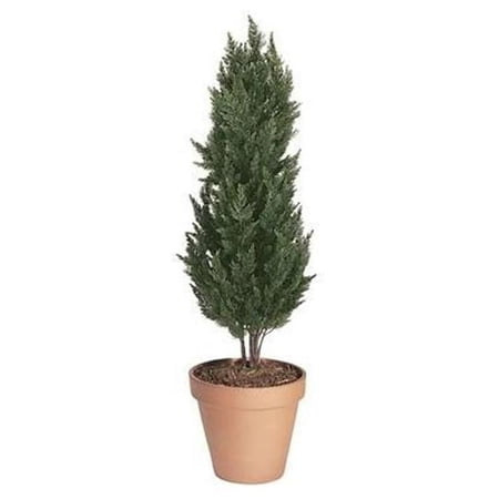 56 Inch Polyblend Cypress - Green
