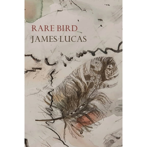Rare Bird, (Paperback)