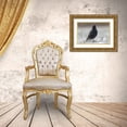 thumbnail image 3 of Jones, Adam 14x11 Gold Ornate Wood Framed with Double Matting Museum Art Print Titled - Common starling, 3 of 4