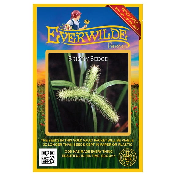 Everwilde Farms - 1000 Bristly Sedge Native Grass Seeds - Gold Vault Jumbo Bulk Seed Packet