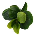 thumbnail image 5 of 4X Pequeño áRbol de Hoja de Violín Artificial Árbol de Imitación de Ficus Lyrata de 11 Pulgadas para Decoración de Interiores Y Exteriores de Patio de Bodas en Casa, 5 of 5