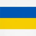 thumbnail image 3 of CafePress - Flag Of Ukraine Baseball Jersey - Kids Cotton Baseball Jersey, 3/4 Sleeve Shirt, 3 of 4