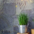 thumbnail image 3 of Crown Inky Denim Jean Pocket Wallpaper, 3 of 4