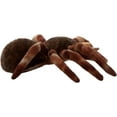 thumbnail image 6 of The Petting Zoo Tarantula Stuffed Animal, Gifts for Kids, Wild Onez Zoo Animals, Tarantula Plush Toy Sitting 12 inches, 6 of 7