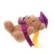 thumbnail image 5 of Oso De Graduación Para La Graduación Decoración De Animales De Peluche Pequeño Oso De Peluche Con Diploma Regalo De Bricolaje Ceremonia De Graduación Decoración De Fiesta, 5 of 6