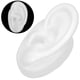thumbnail image 5 of Modelo de oído de silicona portátil resistente resistente resistente al agua de alta  modelo de oído de silicona para demostrar el uso de auriculares centros ANGGREK Otros, 5 of 8