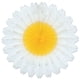 thumbnail image 1 of Abanico Daisy (paquete de 12) The Beistle Company 50275, 1 of 1