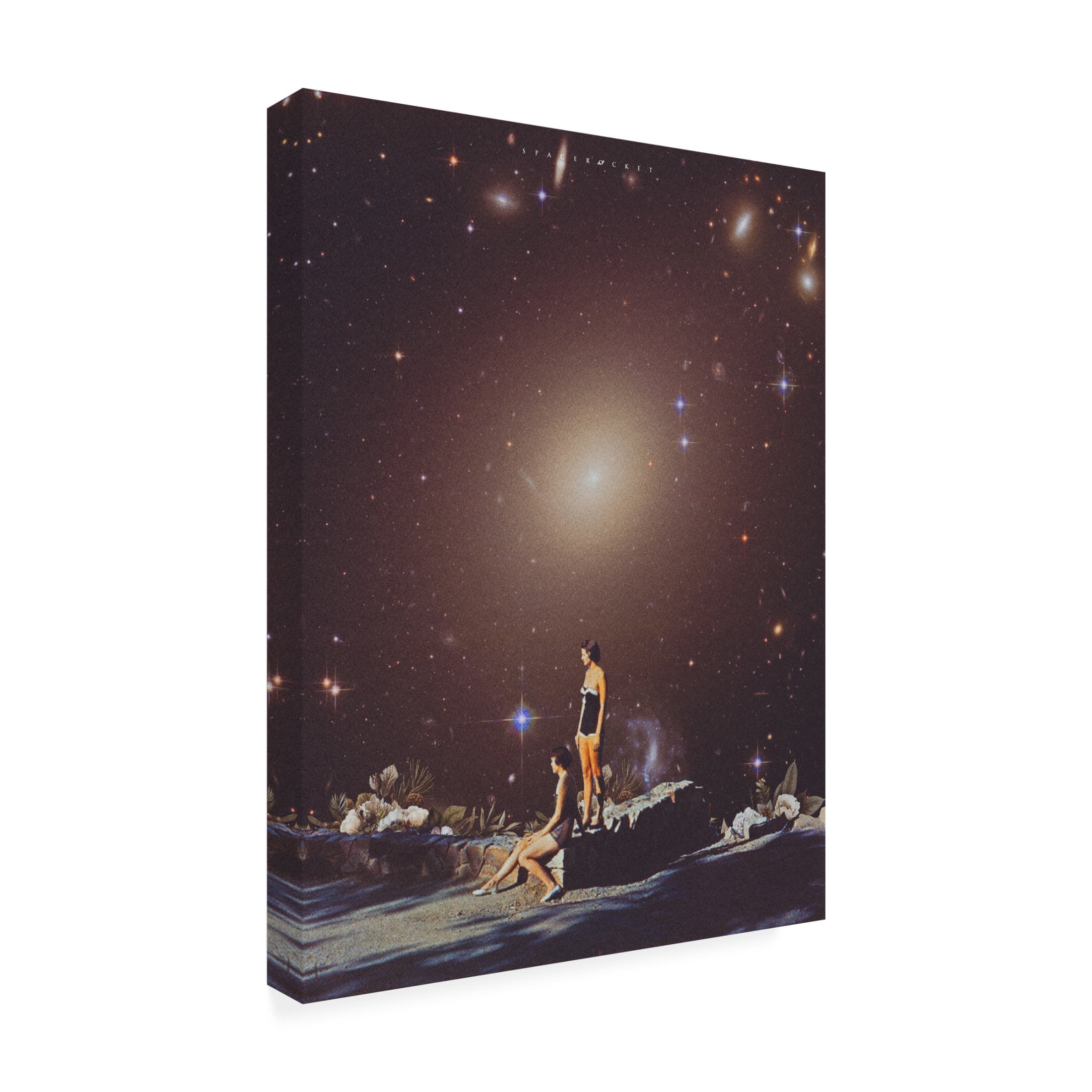 Trademark Fine Art spacerocket art 185 Canvas Wall Art